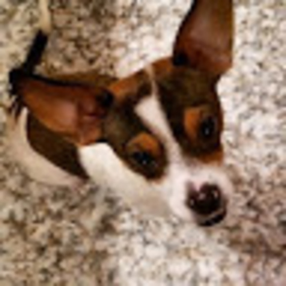 Meet your Posher, Patrcia - Picture 1 of 1